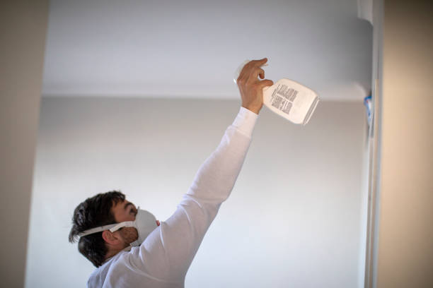 Best Office Mold Removal Services  in Fredonia, WI